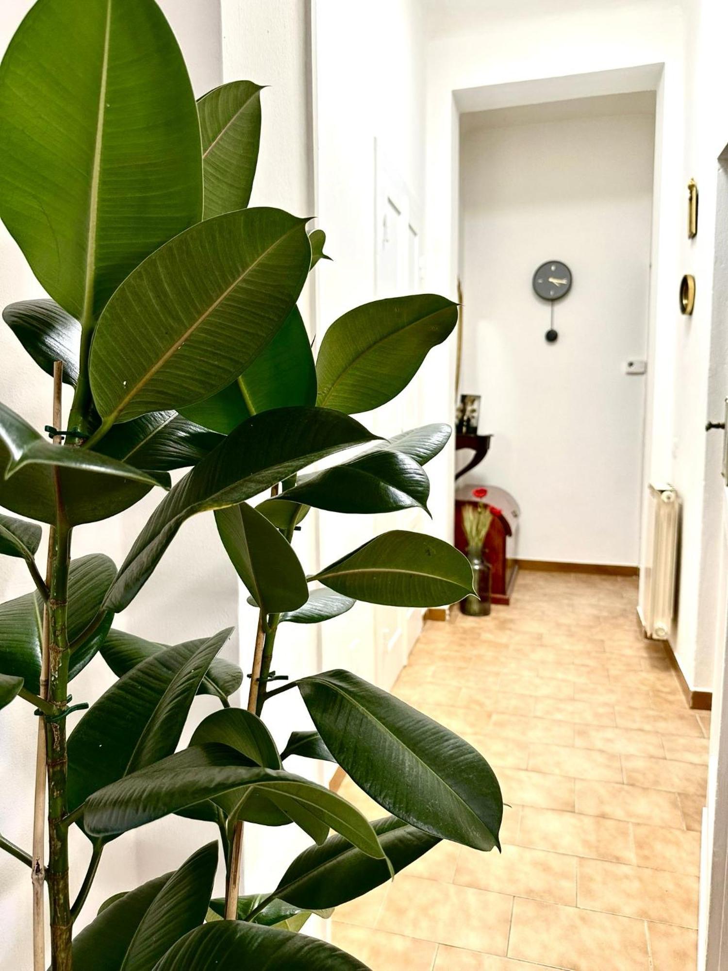 Casa Ganza Villa Pisa Ngoại thất bức ảnh